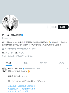ピース 個人融資