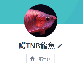 鰐TNB龍魚（ワニティーエヌビーリュウギョ）