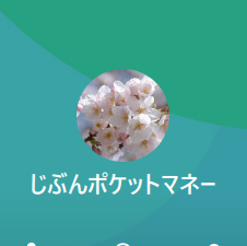 じぶんポケットマネー
