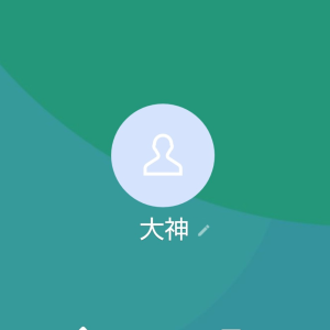 リンク 大神（オオガミ）
