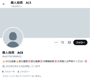 個人投資 ACE
