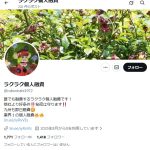 ラクラク個人融資（ラクラクコジンユウシ）