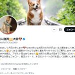 個人融資💴犬田🐶