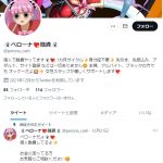 ペローナ融資