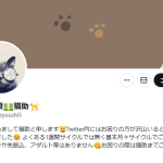 個人融資💵猫助🐈