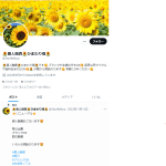 🌻個人融資🌻ひまわり畑🌻