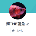 鰐TNB龍魚（ワニティーエヌビーリュウギョ）