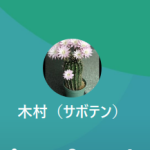サボテン 木村（キムラ）