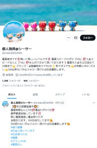 個人融資＠シーサー