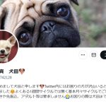 犬田（イヌタ）