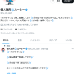 個人融資🎶ルーシー
