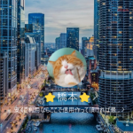 ⭐橋本⭐（ハシモト）