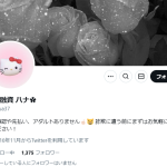 個人融資 ハナ︎✿