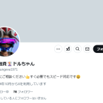 個人融資🃏ドルちゃん