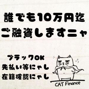CAT FINANCE（キャットファイナンス）