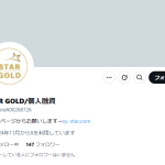 STAR GOLD/個人融資