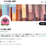 モモの個人融資