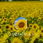 金沢（カナザワ）