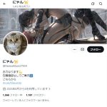 にゃん🐈（ニャン🐈）