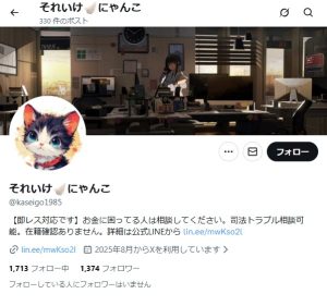 それいけ🪽にゃんこ（ソレイケ🪽ニャンコ）
