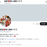 最速🍓個人融資イチゴ（サイソクコジンユウシイチゴ）