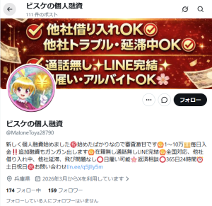 ビスケの個人融資（ビスケノコジンユウシ）